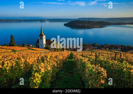 Geographie / Reisen, Schweiz, Ligerz am Bielrsee, Bern, Additional-Rights-Clearance-Info-not-available Stockfoto