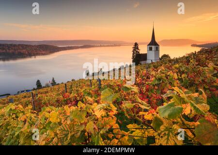 Geographie / Reisen, Schweiz, Ligerz am Bielrsee, Bern, No-Postcard-No-Greetingcard-No-Folding-Card-Nutzung, weltweit, unbegrenzte Zeit, Stockfoto