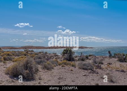 Landschaft an der patagonischen Atlantikküste in Argentinien Stockfoto