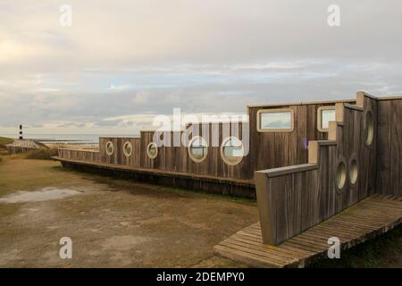 Ein Vogelzug-Standort an den Dünen in breskens, Niederlande an der niederländischen Küste im Winter Stockfoto