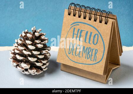 Hallo Dezember Grußkarte - Handschrift in einem Skizzenbuch mit einem dekorativen frostigen Tannenzapfen, Winterkalender-Konzept Stockfoto