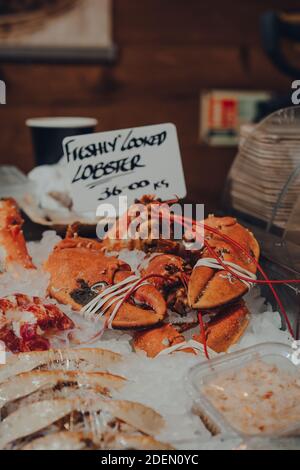 Frisch gekochter Hummer, der an einem Fischmarkt in London, Großbritannien, verkauft wird, selektiver Fokus. Stockfoto