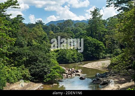 Danum Fluss fließt durch Tiefland Dipterocarp Regenwald, Danum Valley Conservation Area, Sabah, Borneo, Malaysia Stockfoto