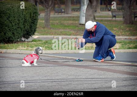 Eine Hündin posiert für ihre Besitzerin im Flushing Meadows Corona Park in Queens, New York City. Stockfoto
