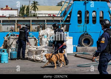 Manila, Philippinen. Dezember 2020. Ein Bombenschnüffelhund wird mit Mitgliedern der K9-Einheit der philippinischen Küstenwache (PCG) während einer Bombendrohung und Geiselnahme-Reaktionstüchteübung an einem Pier in Manila, Philippinen, am 1. Dezember 2020 gesehen. Die PCG, die Philippine National Police (PNP) und die Philippine Ports Authority (PPA) führten die Übung, um ihre Fähigkeiten bei der Gewährleistung der Sicherheit der Seehäfen vor allem in der kommenden Ferienzeit zu zeigen. Quelle: Rouelle Umali/Xinhua/Alamy Live News Stockfoto