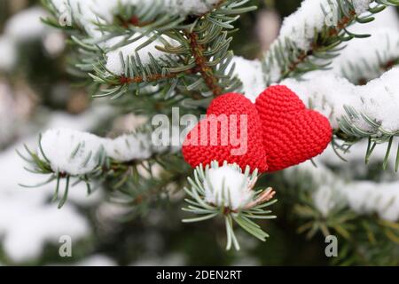 Zwei Liebesherzen im Schnee auf Tannenzweigen. Hintergrund für romantische Karte, Weihnachten und Silvester Feier, Valentinstag oder Winterwetter Stockfoto