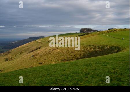 Blick nach Osten auf South Downs Way in Richtung Devil's Dyke Pub in weichem, winterlichen Sonnenlicht, West Sussex, England. Stockfoto