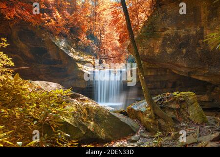 Dog Slaughter Falls im Daniel Boone National Forest, Kentucky, USA. Stockfoto