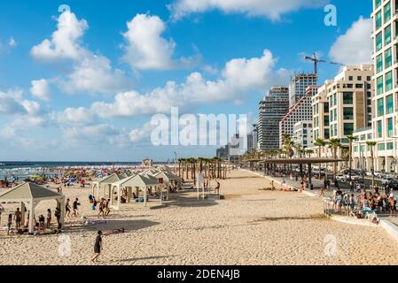 Viele hohe Skylines und Luxushotels entlang von Tel Aviv Strand in Israel Stockfoto