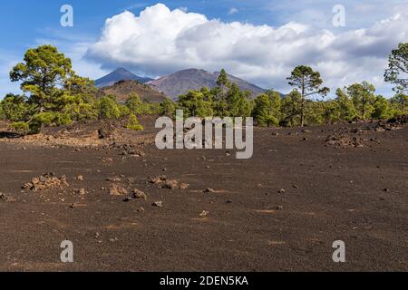 Cumulus Wolken über dem Teide und den Vulkanen Pico Viejo im Nationalpark Las Canadas del Teide, Teneriffa, Kanarische Inseln, Spanien Stockfoto