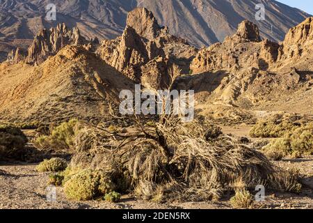 Die Felsen der Kathedrale auf dem Llano de Ucanca im letzten Licht des Tages im Nationalpark Las Canadas del Teide, Teneriffa, Kanarische Inseln, Spanien gefangen Stockfoto