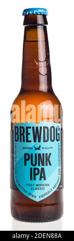 Schottische Brewdog Punk IPA Bierflasche isoliert auf weißem Hintergrund Stockfoto