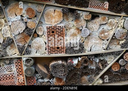 Ein Insektenhotel kann leicht aus einer Vielzahl gemacht werden Von Materialien und ist sehr gut bei der Beobachtung der Insekten Stockfoto