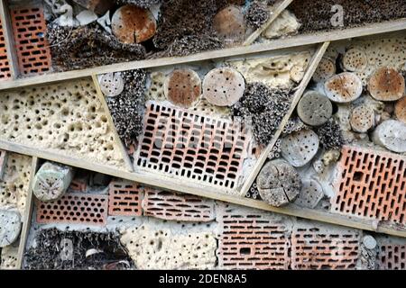 Ein Insektenhotel kann leicht aus einer Vielzahl gemacht werden Von Materialien und ist sehr gut bei der Beobachtung der Insekten Stockfoto