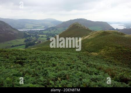 Blick über Winter Crag zum Wainwright 'Hallin Hill' vom Gipfelgrat des 'Beda Fell' im Lake District National Park, Cumbria, England, UK. Stockfoto