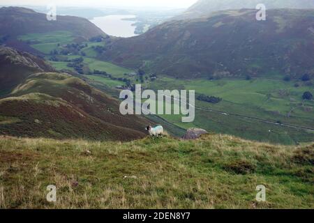 Der Wainwright ''Steel Knotts' und das Valley of Howe Grain in Martindale von 'Beda Fell' im Lake District National Park, Cumbria, England, Großbritannien. Stockfoto