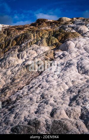 Farbenfrohe Mineralformationen der Palette Spring in den Mammoth Hot Springs im Yellowstone National Park in Wyoming, USA. Stockfoto