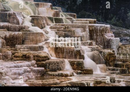 Farbenfrohe Mineralformationen der Palette Spring in den Mammoth Hot Springs im Yellowstone National Park in Wyoming, USA. Stockfoto