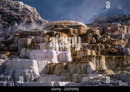 Farbenfrohe Mineralformationen der Palette Spring in den Mammoth Hot Springs im Yellowstone National Park in Wyoming, USA. Stockfoto