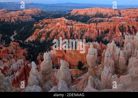 Nordamerika, USA, Colorado Plateau, Utah, Four Corners, UNESCO, Weltkulturerbe, Bryce Canyon, Nationalpark, Stockfoto