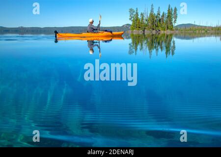 USA, Pacific Northwest, Oregon, Lane County, Willamette National Forest, Waldo Lake Stockfoto