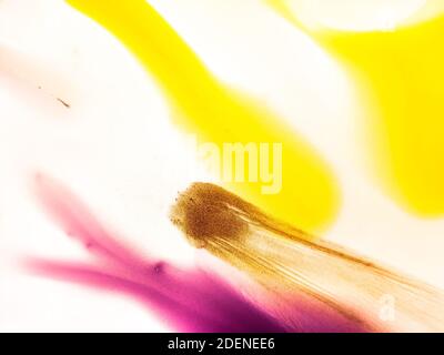 Alkohol Tinte Indigo nahtlose Hintergrund. Flüssige Kunsttextur. Kunst für Ihr Design-Projekt. Alkoholtinte Moderne abstrakte Malerei, moderne Kunst. Abstrakt col Stockfoto