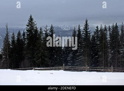 Blick von Gubalowka (1.126 m) auf der Tatra, Zakopane, Poalnd Stockfoto