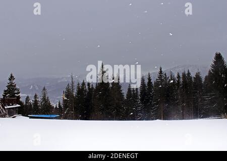 Blick von Gubalowka (1.126 m) auf der Tatra, Zakopane, Poalnd Stockfoto