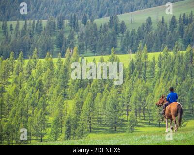 Junge, der durch die Berge der nördlichen Mongolei reitet. Der Junge führte eine Herde Pferde. Stockfoto