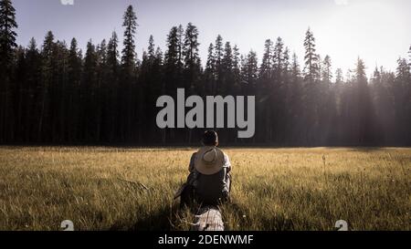 Ein einsitzender Wanderer, der auf einem Baumstamm sitzt und die Natur betrachtet In einer leeren Wiese mit Bäumen und einer strahlenden Sonne Im Hintergrund in Kalifornien Stockfoto