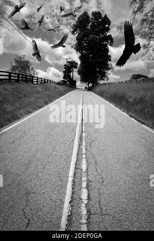 Schar bedrohlicher, um die türkei kreisenden Geier schweben hoch oben Der Himmel Stockfoto