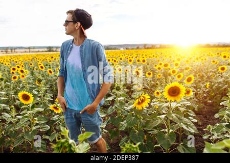 Porträt eines Mannes in einer Kappe und Brille, auf dem Hintergrund eines Feldes mit Sonnenblumen, Reisen mit einem Touristen Stockfoto