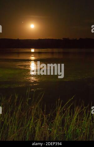 Mond steigt über Mine Lamotte See. Stockfoto