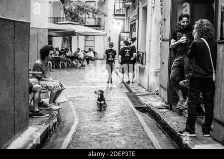 Ceret, Frankreich, Europa. Stockfoto