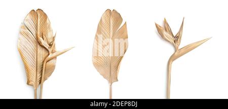 Set aus goldenen Palmblättern und Blumen. Stockfoto