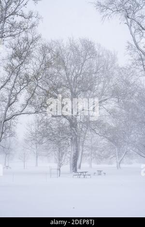 Stadtstraße mit Schnee bedeckt nach einem großen Wintersturm Stockfoto