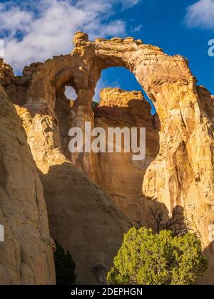 Grosvenor Arch in der Nähe des Kodachrome Basin State Park, südlich von Cannonville, Utah. Stockfoto