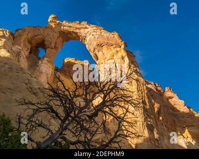 Grosvenor Arch in der Nähe des Kodachrome Basin State Park, südlich von Cannonville, Utah. Stockfoto