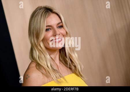Sienna Miller nimmt am 03. November 2019 an den 23. Annual Hollywood Film Awards im Beverly Hilton Hotel in Beverly Hills, CA, USA Teil. Foto von Lionel Hahn/ABACAPRESS.COM Stockfoto