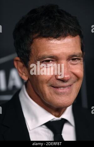 Antonio Banderas nimmt am 03. November 2019 an den 23. Annual Hollywood Film Awards im Beverly Hilton Hotel in Beverly Hills, CA, USA Teil. Foto von Lionel Hahn/ABACAPRESS.COM Stockfoto