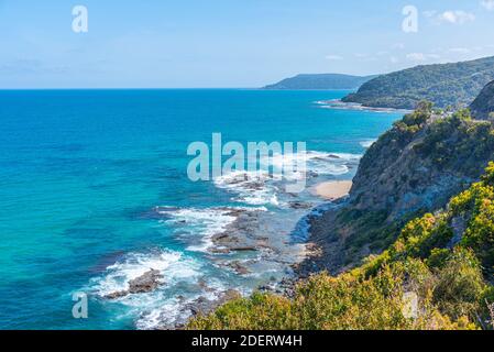 Lorne Queenscliff Küstenreservat in der Nähe von lorne in Australien Stockfoto