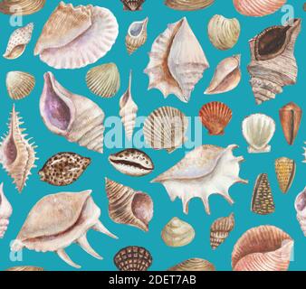Nahtloses Muster mit Muscheln und Muscheln. Aquarellmalerei. Stockfoto