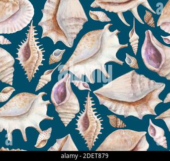Nahtloses Muster mit Muscheln und Muscheln. Aquarellmalerei. Stockfoto