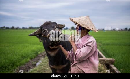 LANDWIRT MIT WASSER OX, HOI AN, VIETNAM Stockfoto