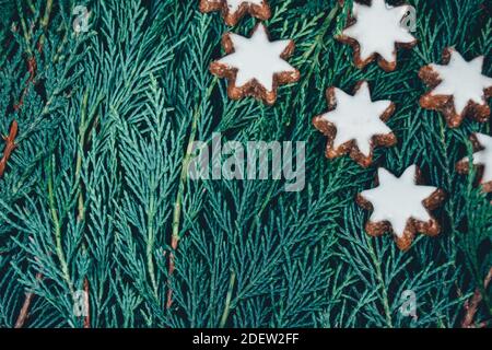 Draufsicht weihnachtshintergrund aus wilden immergrünen Ästen und süßen Lebkuchen mit Zuckerüberzug Sterne in der Ecke des Rahmens, bläulich grün üppig c Stockfoto