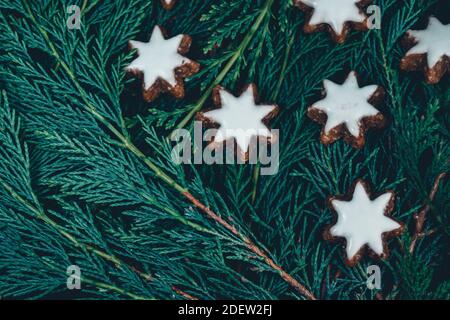 Draufsicht weihnachtshintergrund aus wilden immergrünen Ästen und süßen Lebkuchen mit Zuckerüberzug Sterne in der Ecke des Rahmens, bläulich grün üppig c Stockfoto