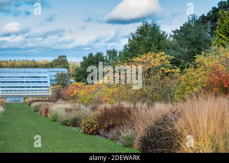 Gewächshaus und Gartengrenzen an der RHS Wisley im Herbst. Surrey, England Stockfoto