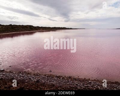 Das rosafarbene Wasser der Hutt Lagoon in der Nähe von Port Gregory, Westaustralien Stockfoto