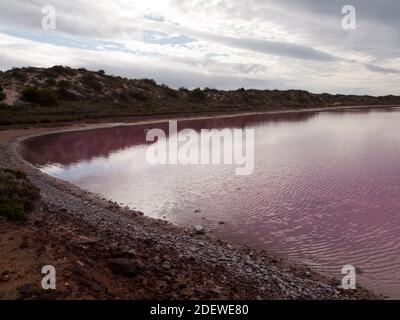 Das rosafarbene Wasser der Hutt Lagoon in der Nähe von Port Gregory, Westaustralien Stockfoto