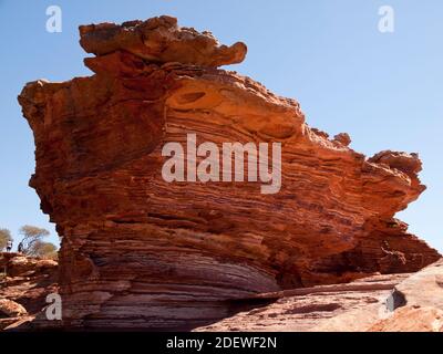 Sandsteinfelsen, Kalbarri National Park. Stockfoto